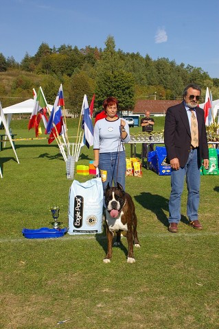 www.boxer-show.eu